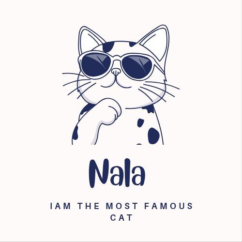 Nala — viral cat and community icon